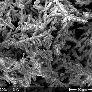 Copper (Cu) Powder (<45 μm)